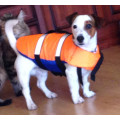 Спасательный жилет для собак в Уфе